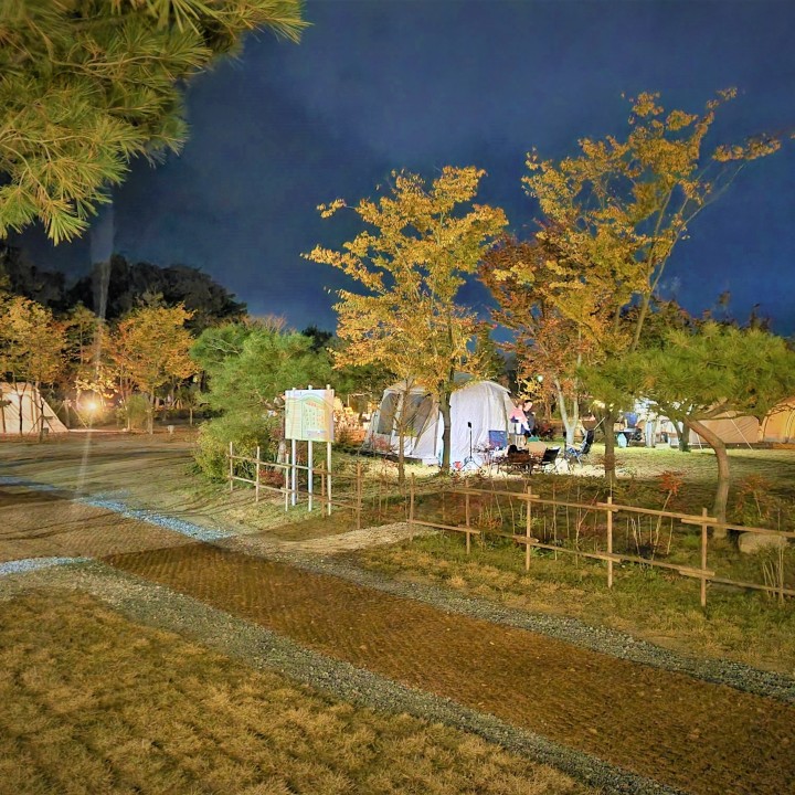 강릉 342camp 이미지 5