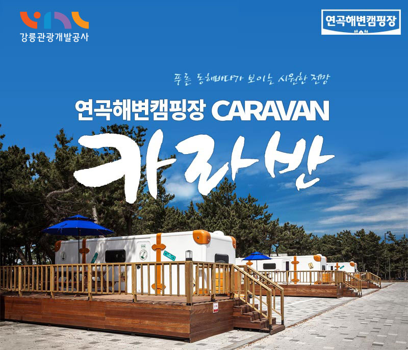 강릉 연곡해변솔향기캠핑장 이미지 4