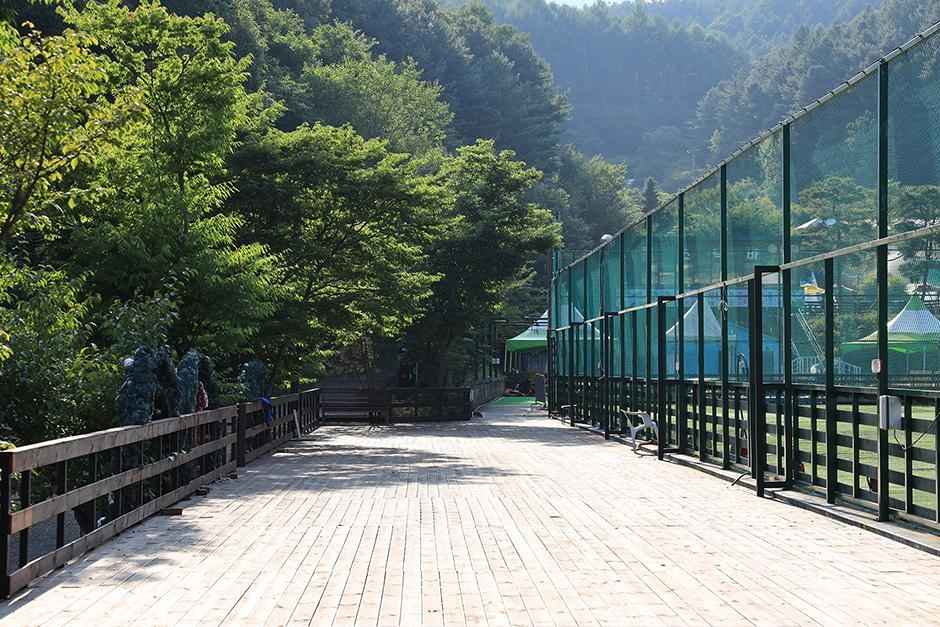 홍천 예담숲 캠핑장 이미지 3
