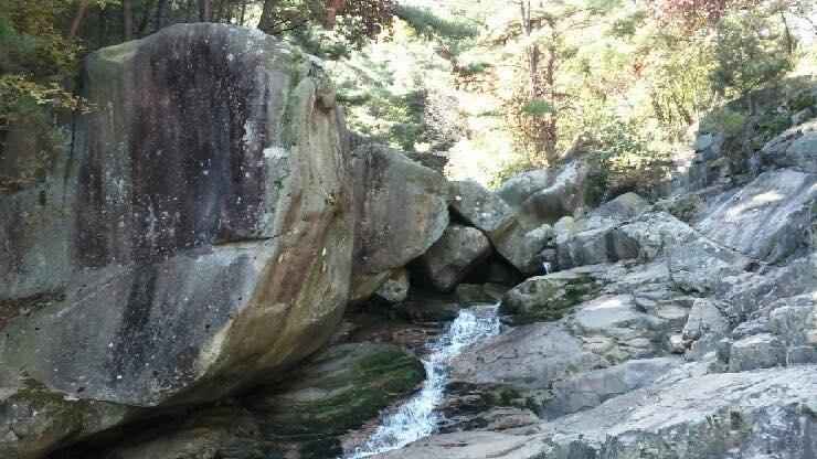 대구 바람이좋은저녁 캠핑장 이미지 4
