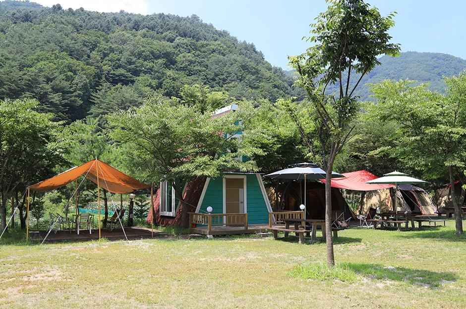 영월 꿈엔들캠핑장 이미지 3