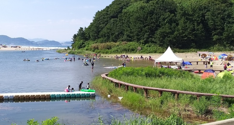 삼척 덕산해변캠핑장 이미지 5