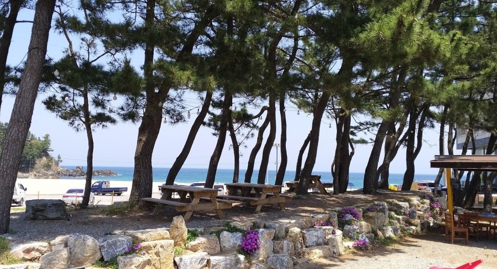 삼척 덕산해변캠핑장 이미지 3