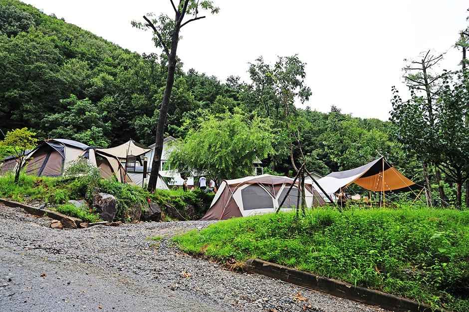 용인자연숲캠핑장 이미지 4