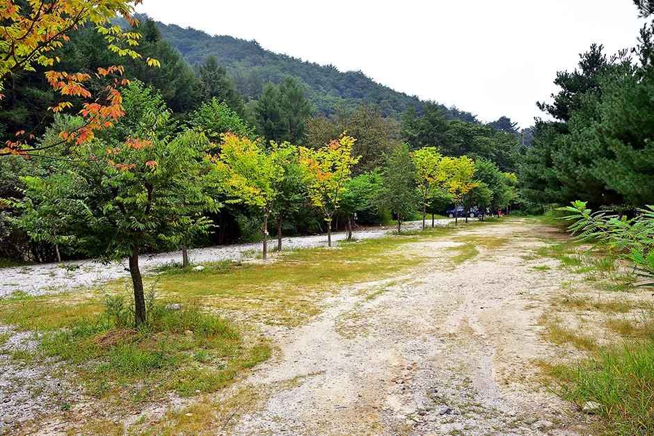 포천 계곡캠핑장 이미지 3