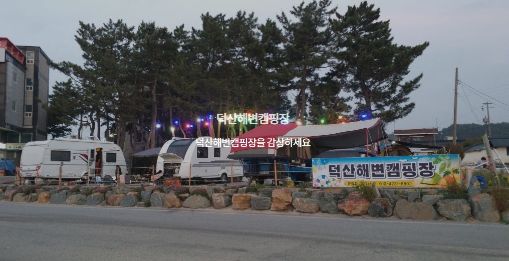 삼척 덕산해변캠핑장 이미지 6