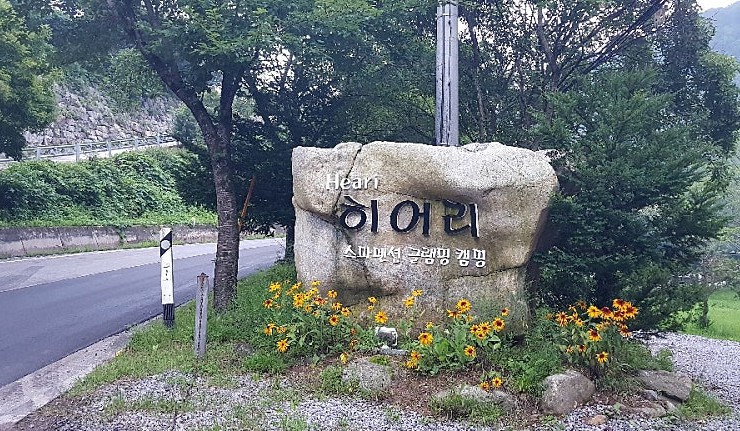 영월 히어리캠핑장 이미지 1