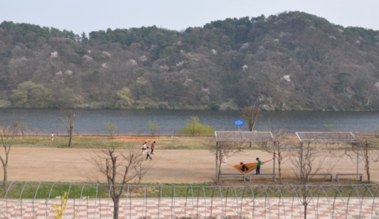 청양 동강리 오토캠핑장 이미지 2