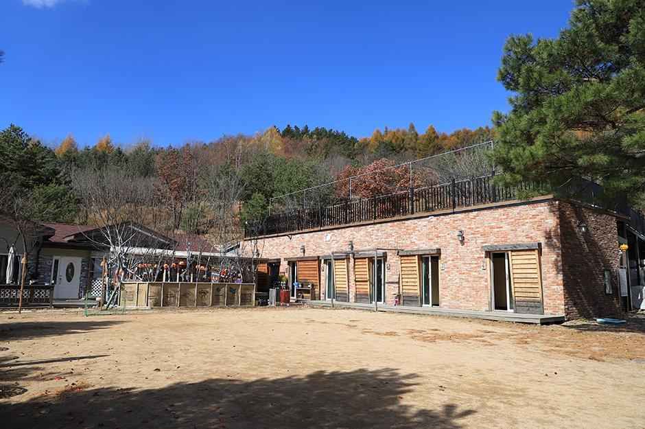 평창 삼남매와뭉치네캠핑장 이미지 4