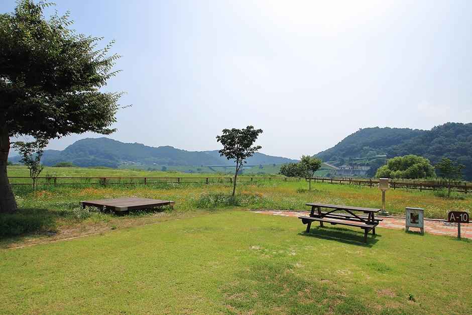 청양 동강리 오토캠핑장 이미지 6