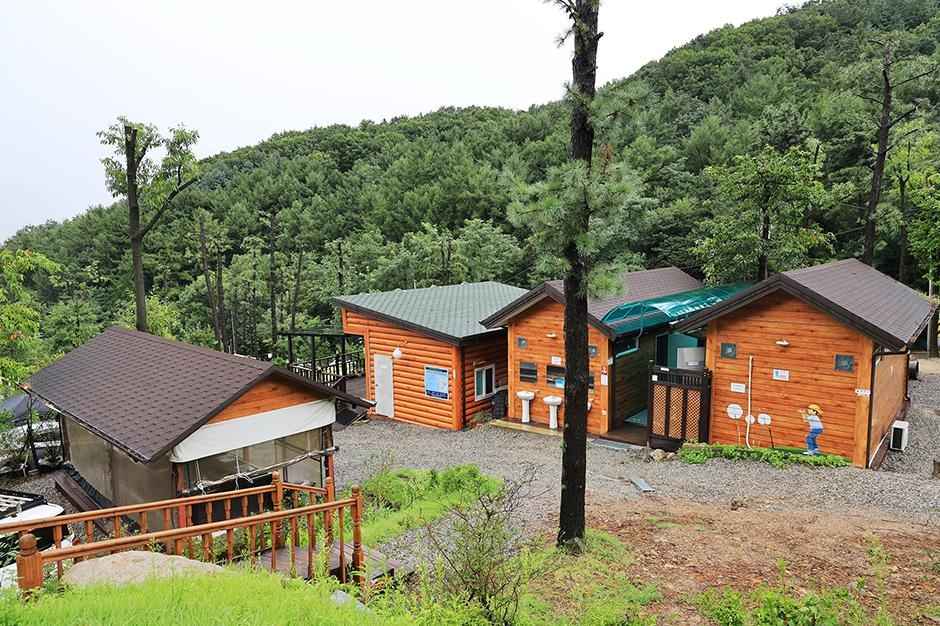 용인자연숲캠핑장 이미지 5