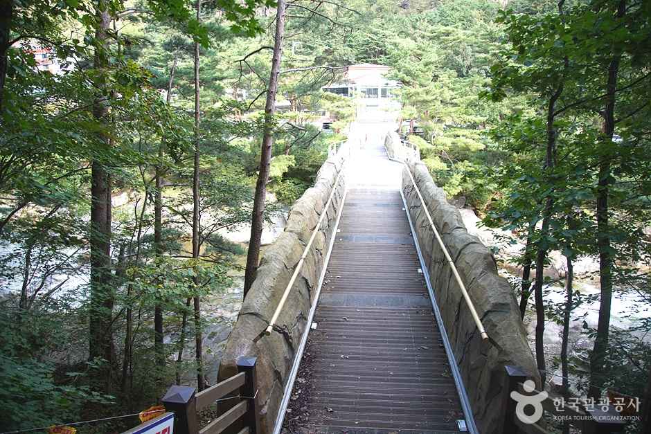 동해 무릉계곡힐링캠프장 이미지 4