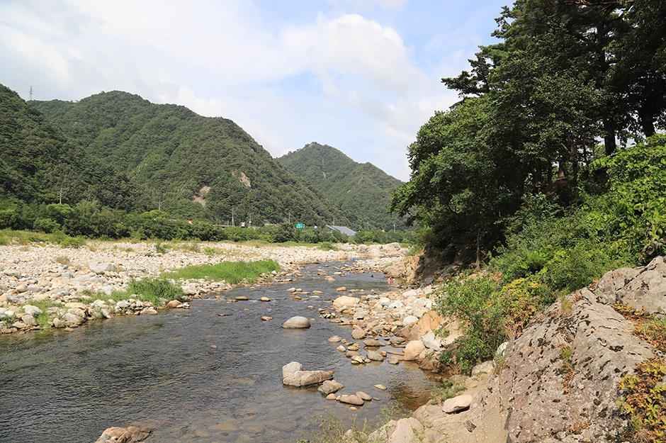 인제 돌배캠핑장 이미지 6