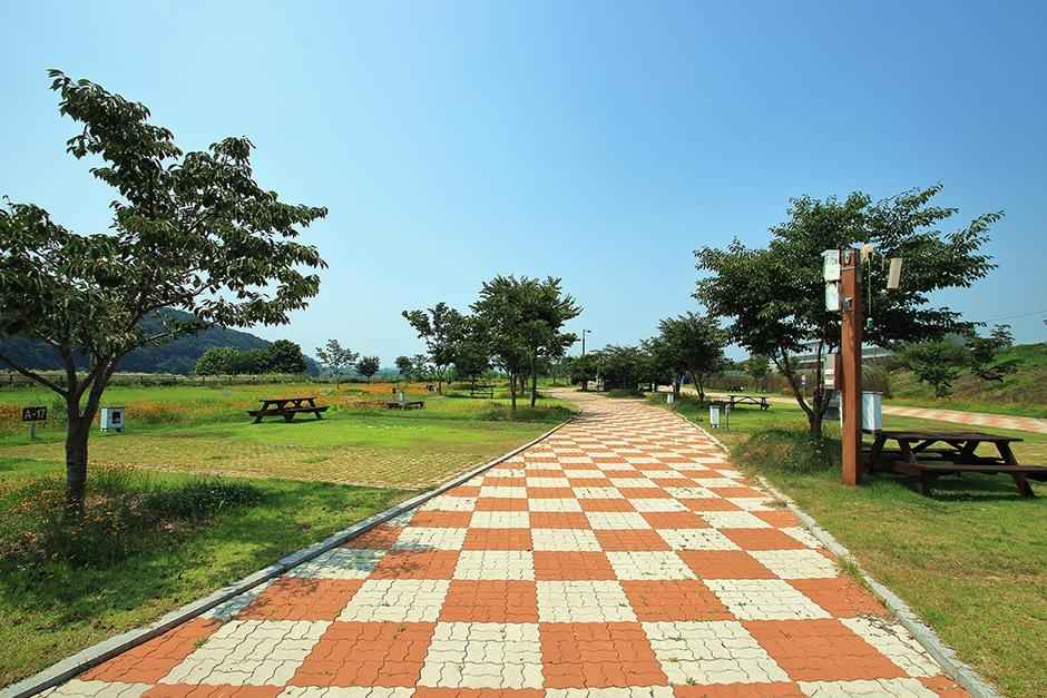 청양 동강리 오토캠핑장 이미지 5