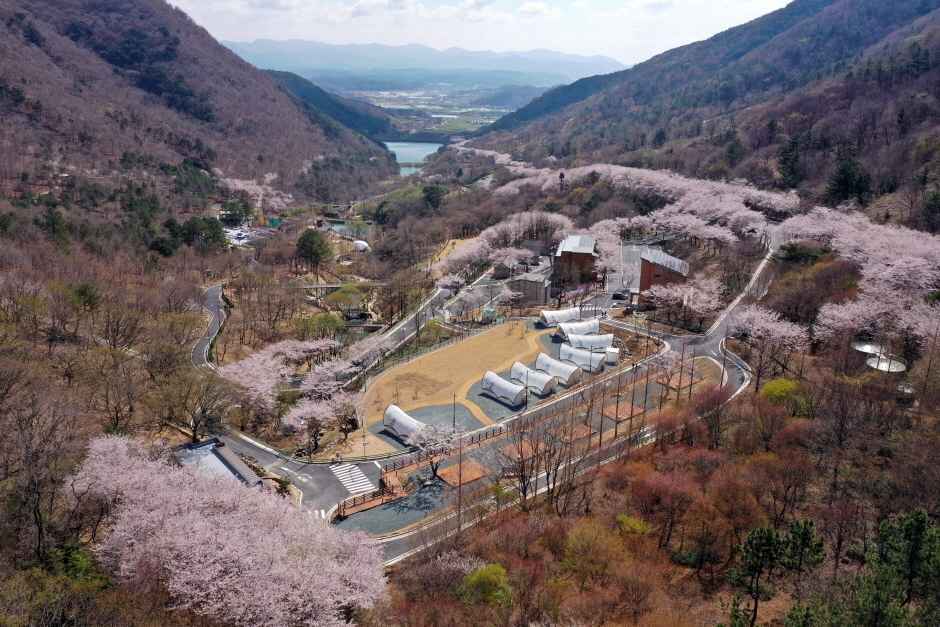 진주 월아산 숲속의진주 이미지 1