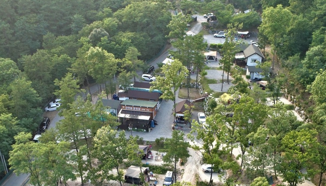 용인자연숲캠핑장 이미지 1