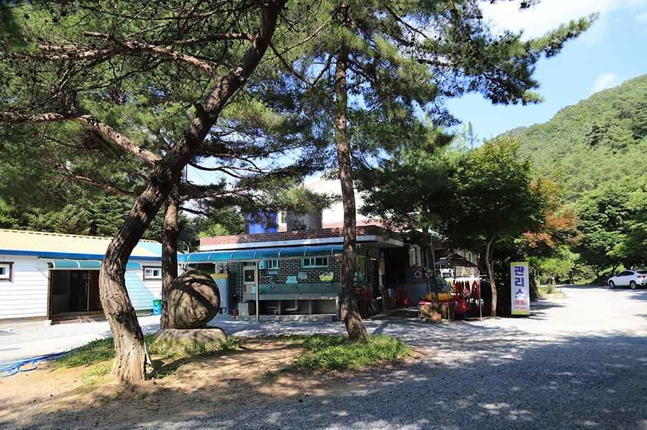 영월 정든오토캠핑장 이미지 3