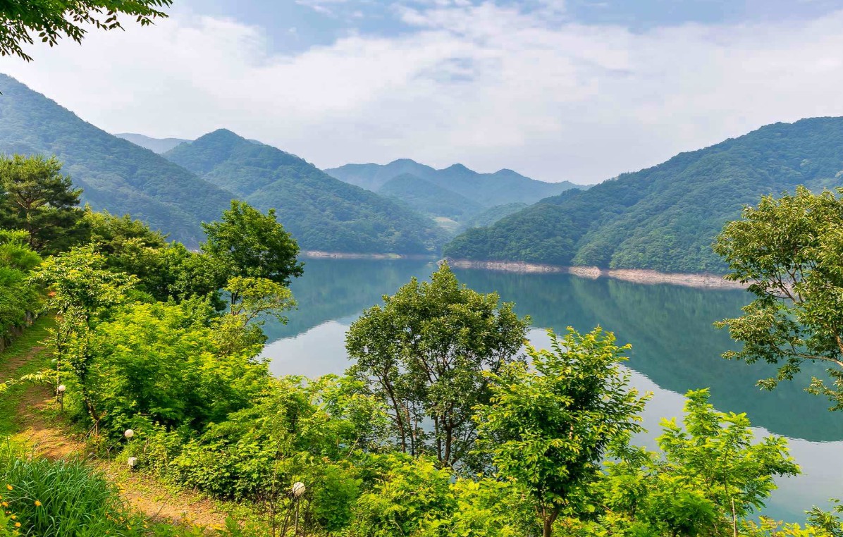 충주호 캠핑월드 이미지 7