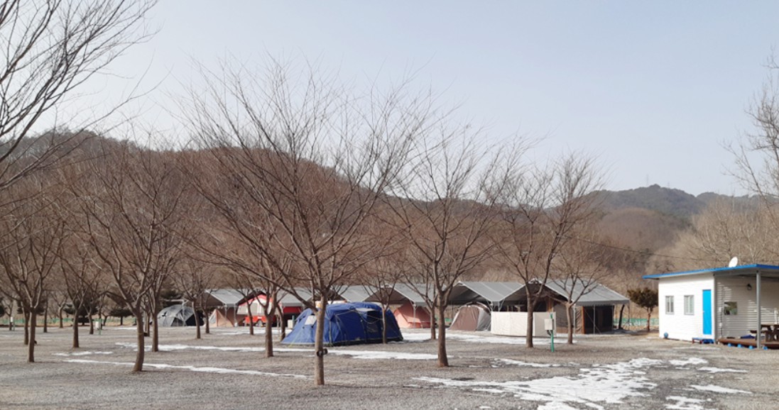 영월 다그린캠핑장 이미지 6
