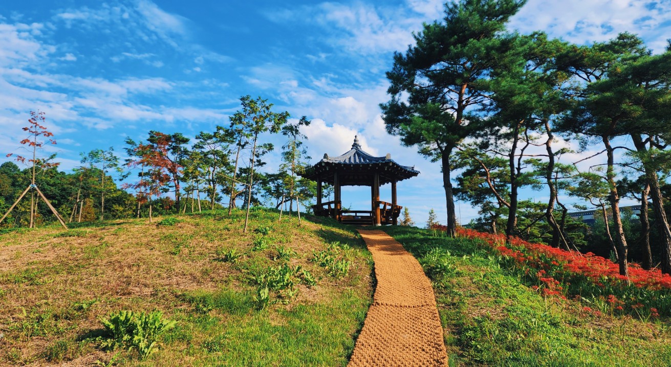 하기숲캠핑장 이미지 4