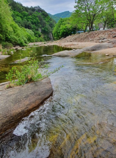 영월 밤골야영장 캠핑장 이미지 7