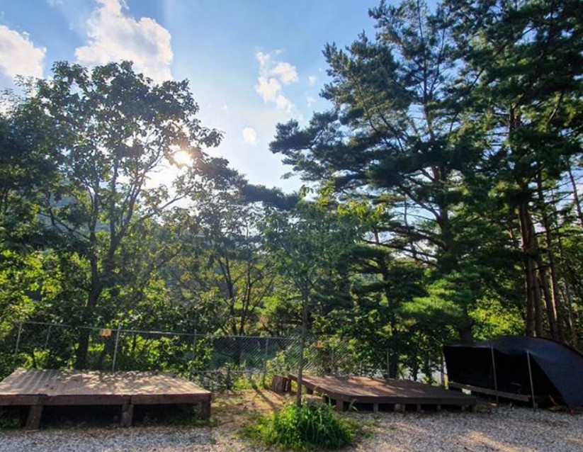 오색산새소리캠핑장 이미지 4