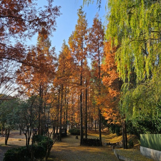 무릉관광농원 이미지 1