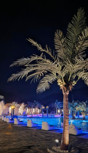 가평 트라움풀빌라 글램핑&카라반 이미지 6