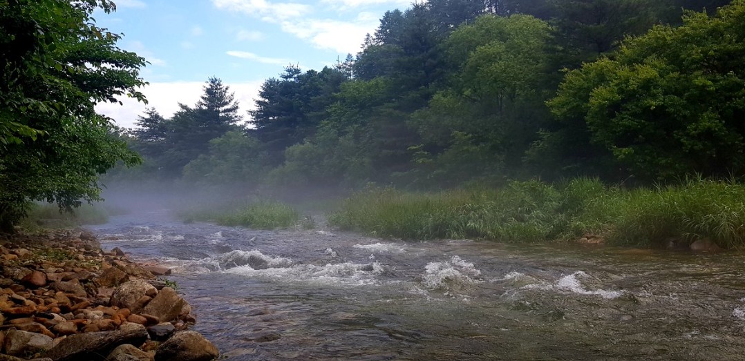 영월 하얀여울캠핑장 이미지 2