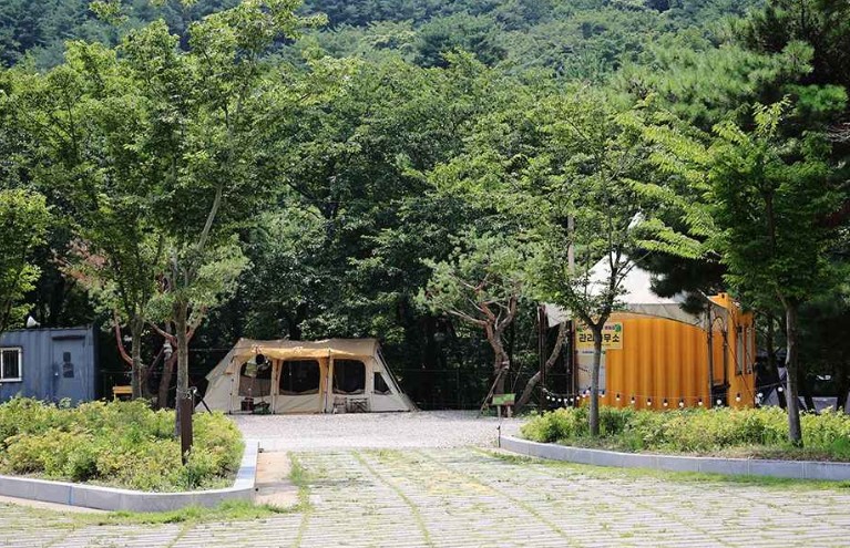 오색산새소리캠핑장 이미지 5