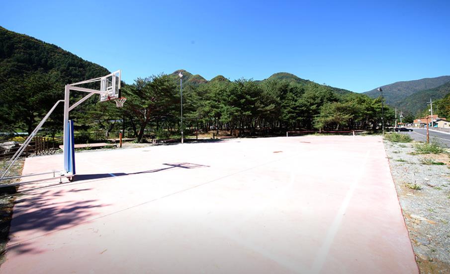 회동 솔향캠핑장 이미지 7