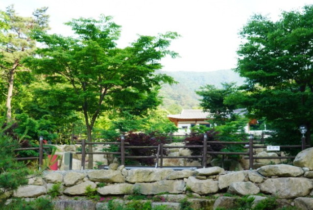 양양오색휴랜드야영장 이미지 7