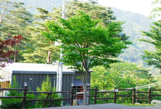 양양오색휴랜드야영장 이미지 3