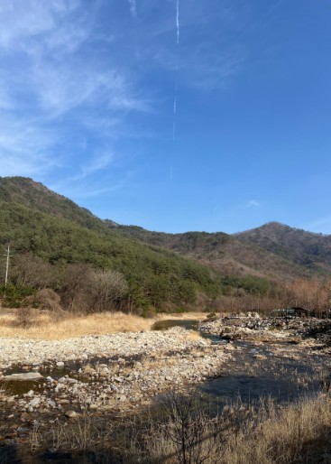 영월 자연이랑캠프 이미지 5