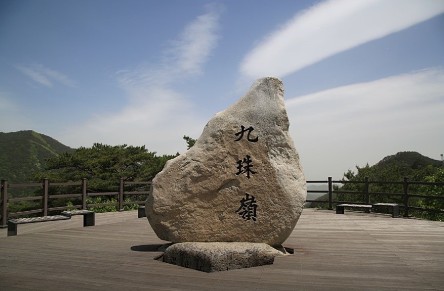 회동솔향캠핑장 이미지 5