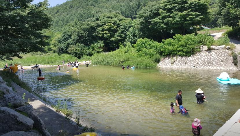 포천 뉴힐링캠핑장 이미지 7