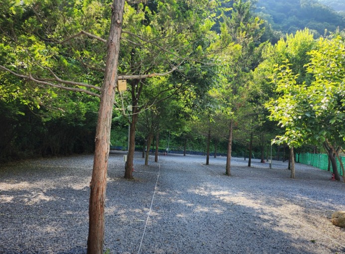 월악산레트로캠핑N민박 이미지 5