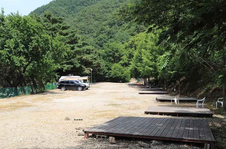인제 내린천솔밭힐링캠핑장 이미지 2