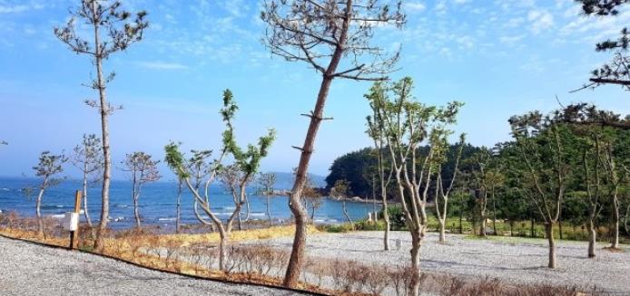 태안 파도와노을캠핑장 이미지 8