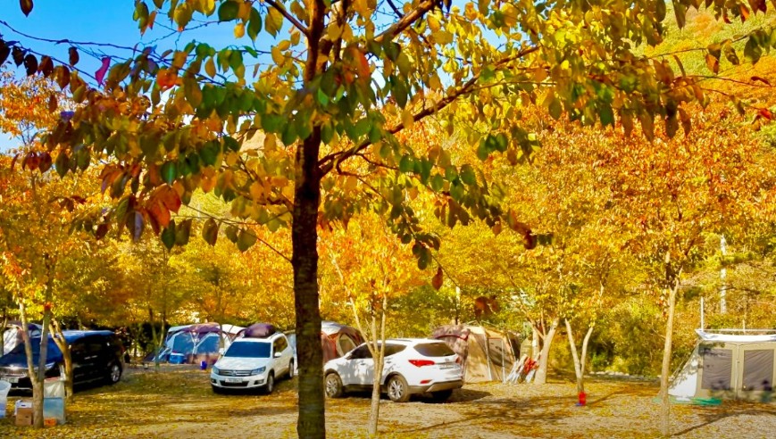 곤달비캠프 이미지 7