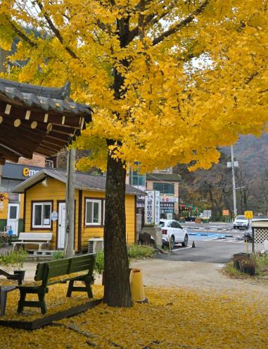 포천 산정호수 가족글램핑장 이미지 5