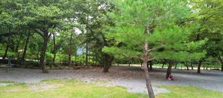 영월 상우농장캠핑장 이미지 4