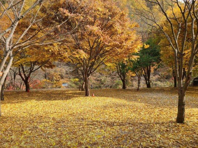 영월 남강캠프 이미지 2