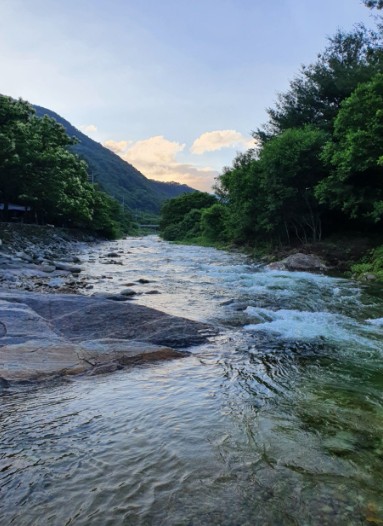 영월 밤골야영장 캠핑장 이미지 5