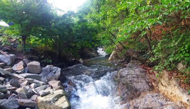 춘천하늘캠핑장 이미지 7