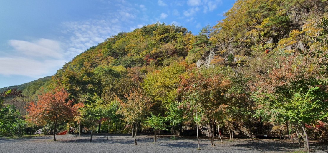 연천 담터오지캠핑장 이미지 7
