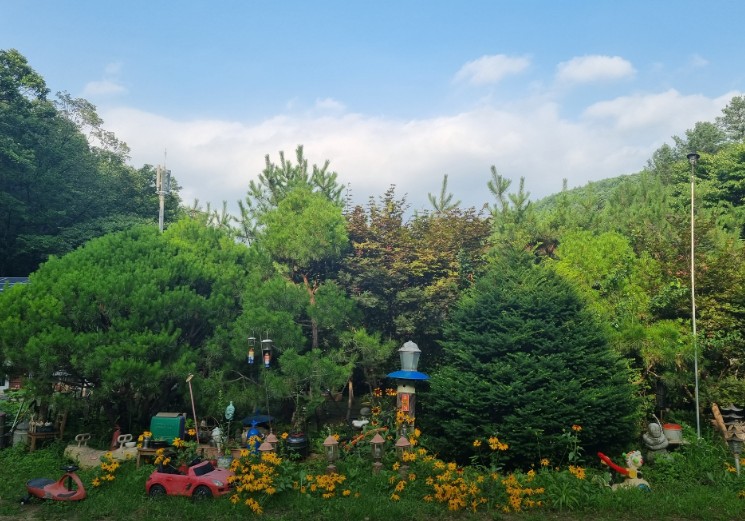 에코밸리오토캠핑장 이미지 4