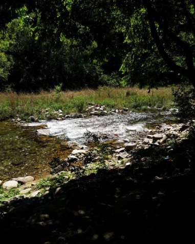 영월 하얀여울캠핑장 이미지 7