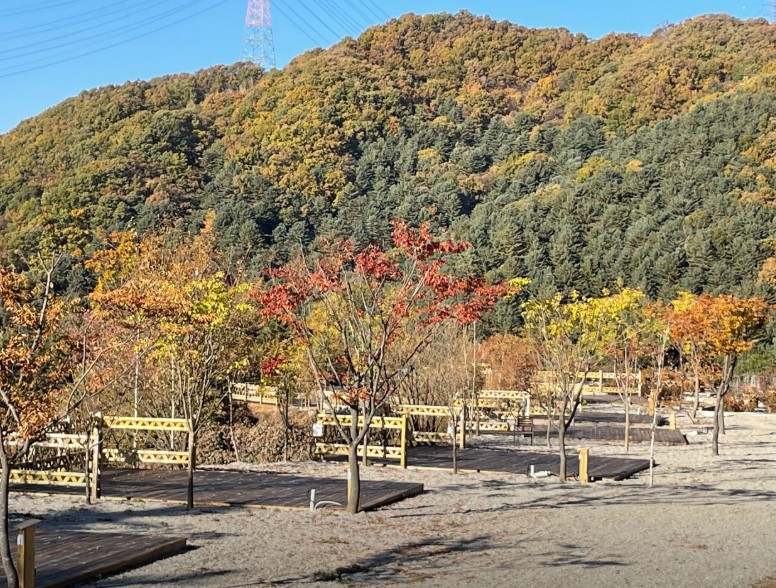 포천 엉클킴스캠핑장 이미지 5