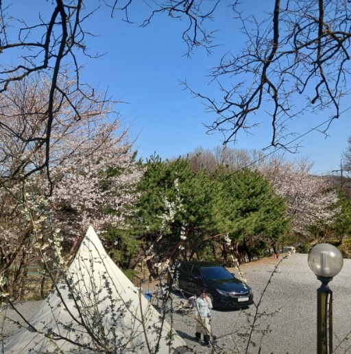 풍성채 캠핑장 이미지 3